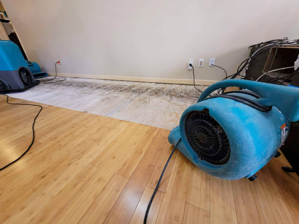 Professional Water Damage Repair technician working in Corning, AR